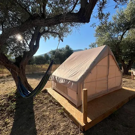 Bonaparte Camp