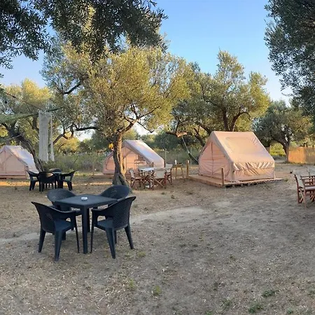 Bonaparte Camp Qeparo